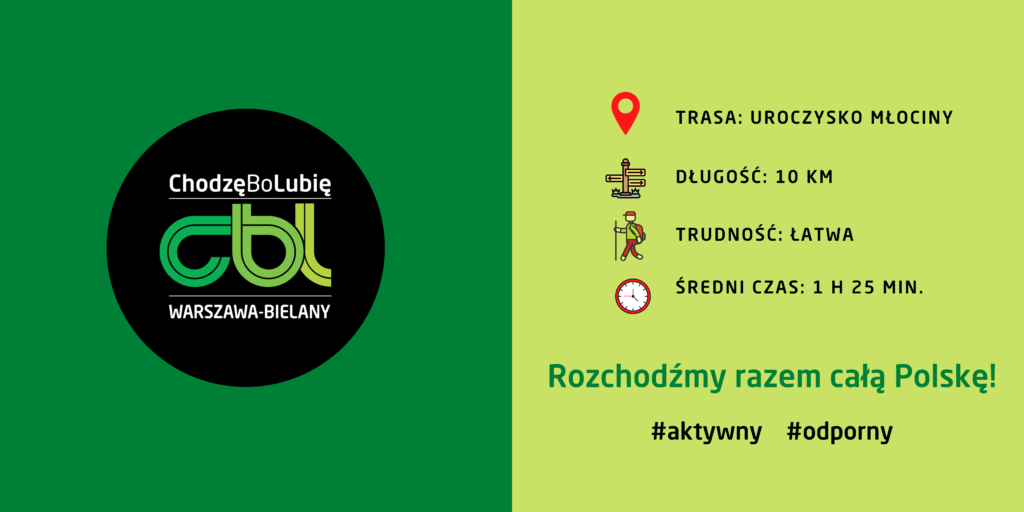 Dodaj Nagłówek (3)
