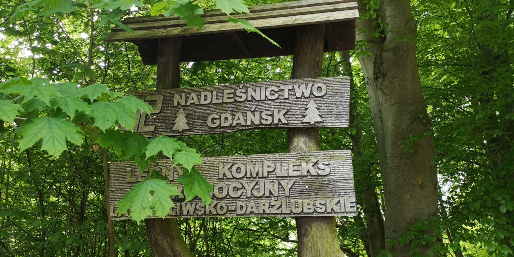 Dodatkowe Zdjecia