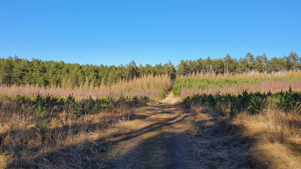 5 5km