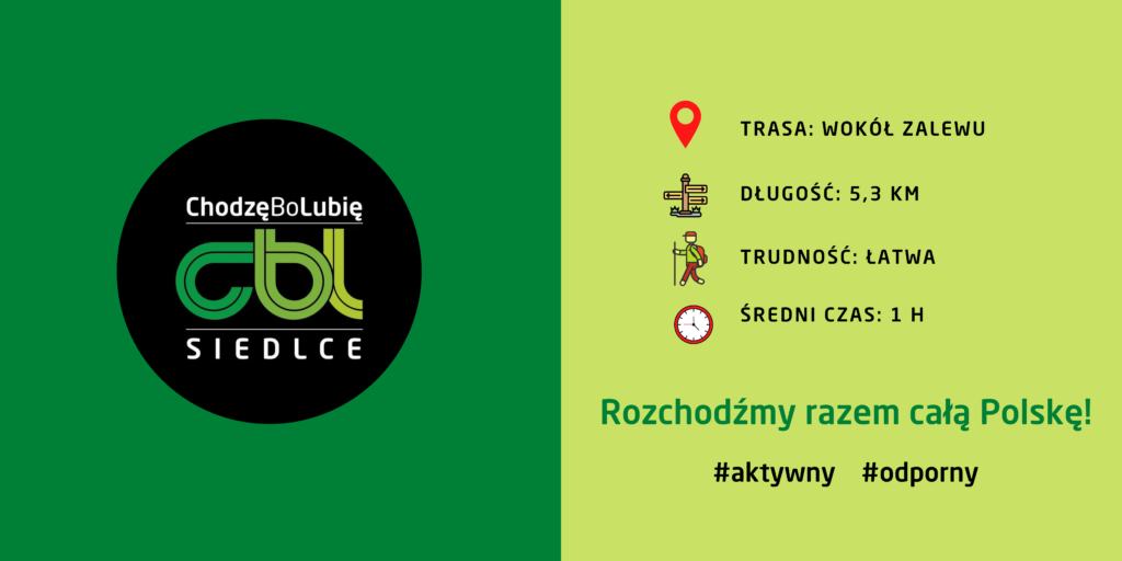Dodaj Naglowek 7