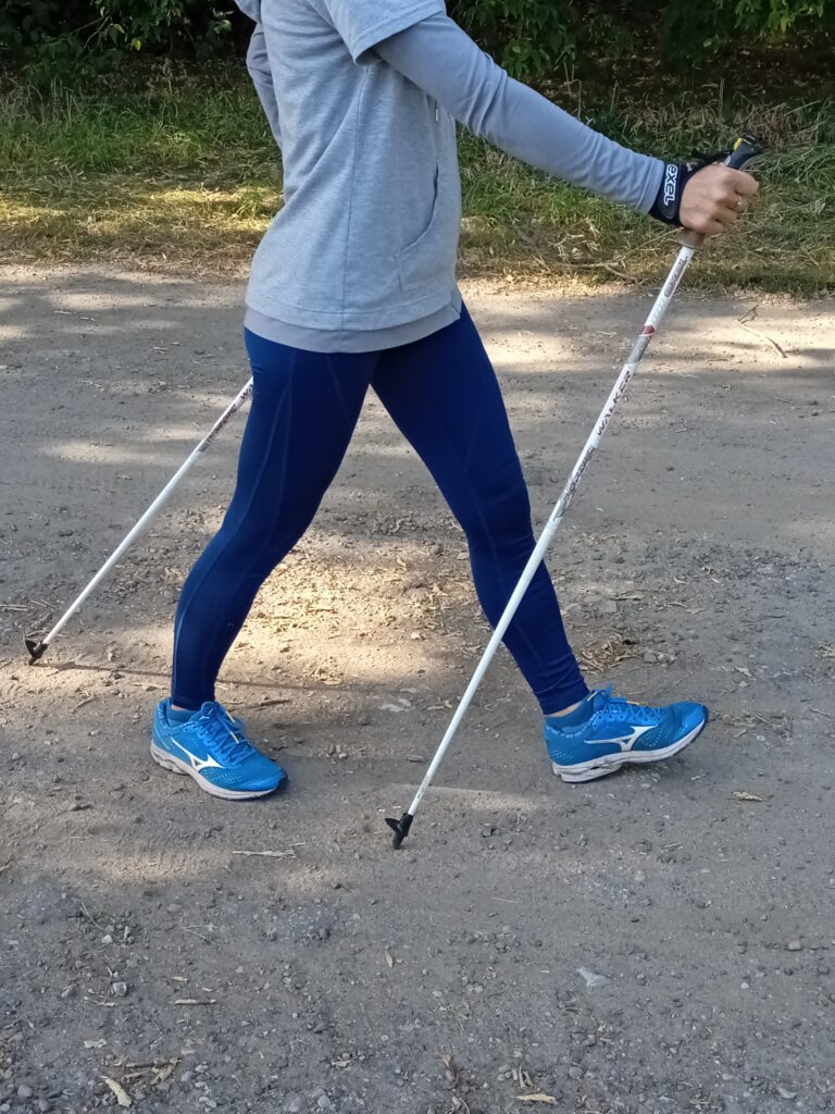 Fot. Atak Podloza