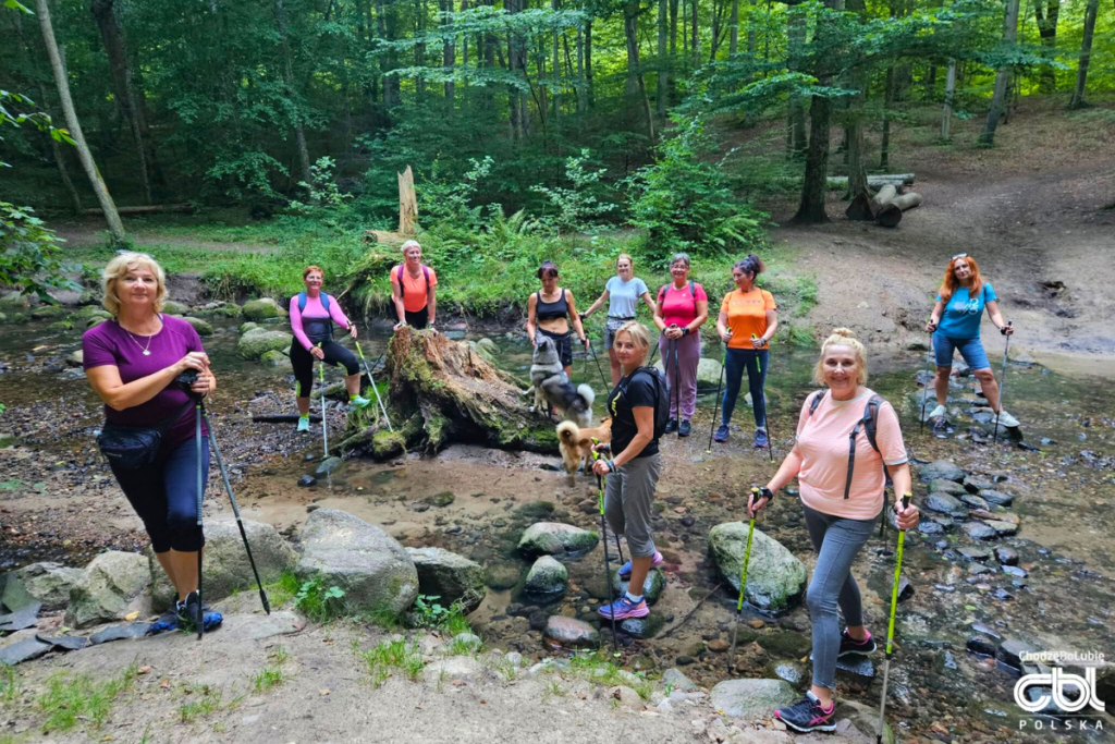 Projekt Bez Nazwy 2025 08 25t130137.179